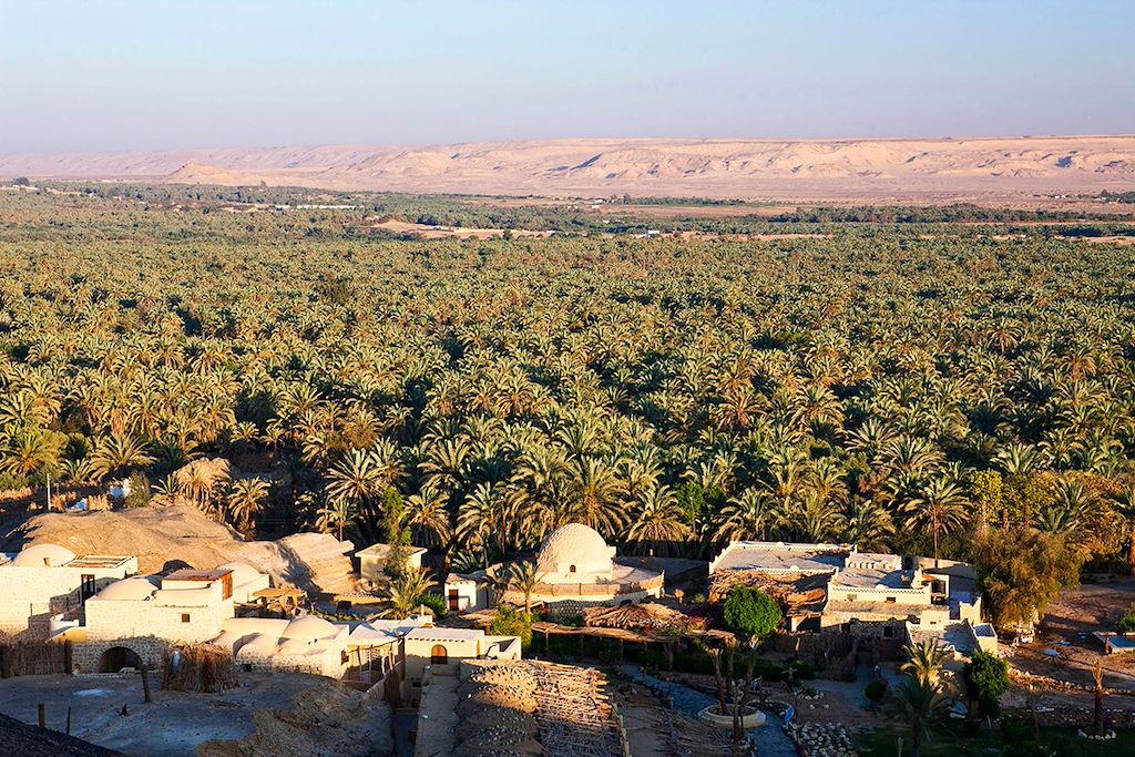 Image Pyramides de Gizeh - Desert blanc - Abou Simbel - Philae