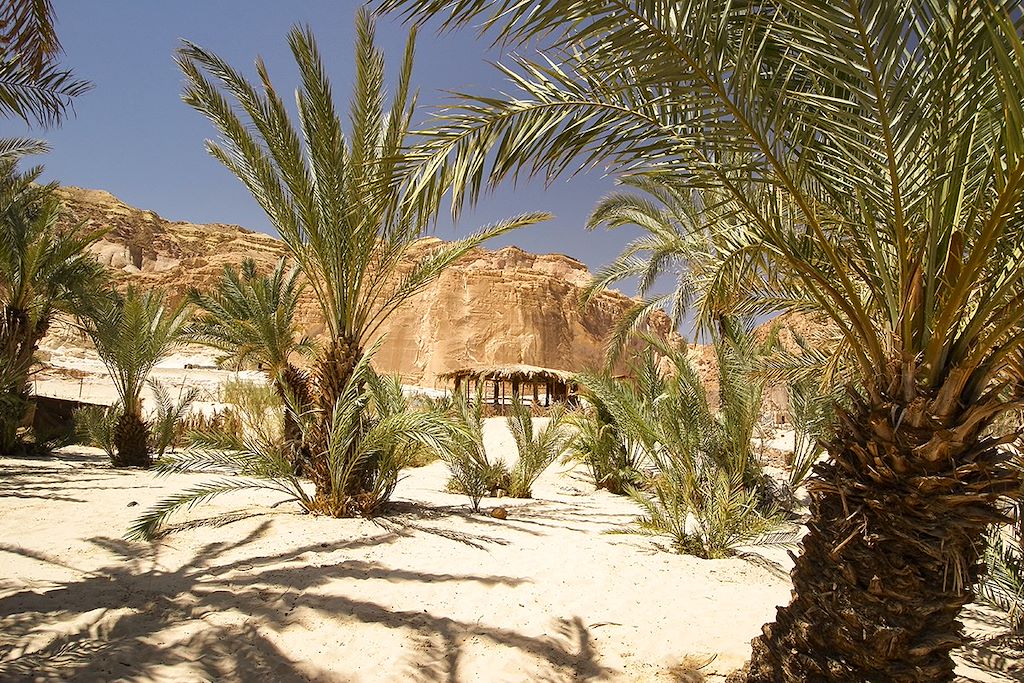 Image Pyramides de Gizeh - Desert blanc - Abou Simbel - Philae