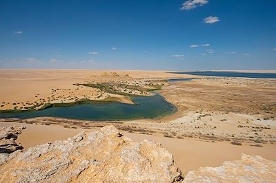 Vallée désertique reculée d'Égypte