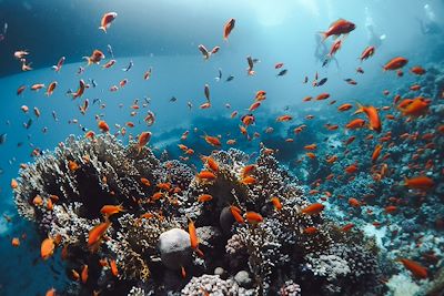 Mer rouge - Egypte