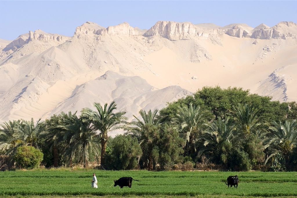 Image Le Caire - Baharyia - Farafra - Lac salé de Marun - trek désert blanc