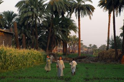 Louxor - Vallée du Nil - Egypte