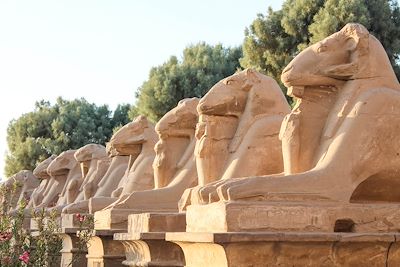 Temple de Karnak à Louxor - Egypte