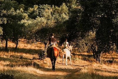 Equitation - Andalousie - Espagne