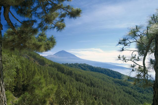 Voyage à vélo - Tenerife et La Gomera en VTT des volcans à l\'océan