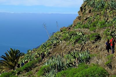 Barranco Valle Gran Rey - La Gomera - Canaries - Espagne