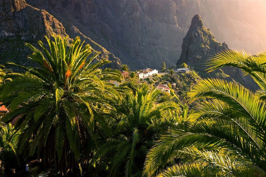 Parc Masca - île de Ténérife - Iles Canaries - Espagne