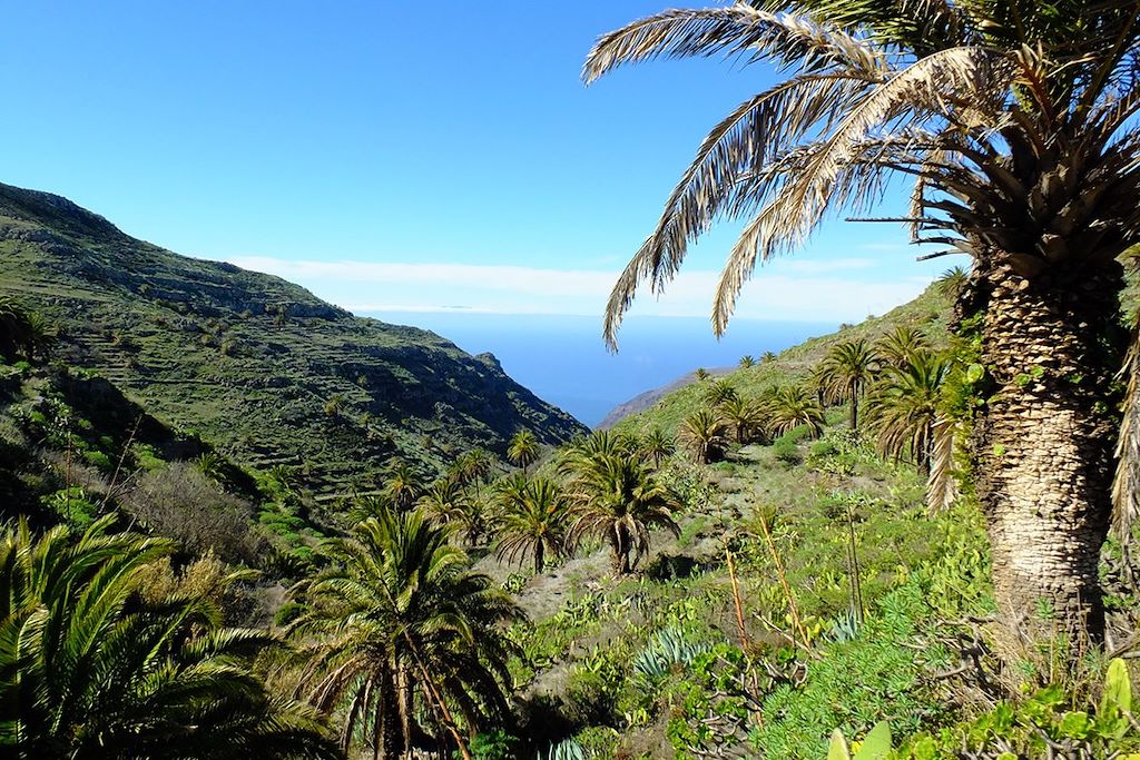 Voyage Randonnées et baignades à Tenerife et Gomera