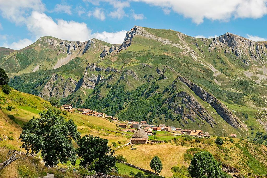 Voyage Sur les traces de l'ours brun des Asturies 3