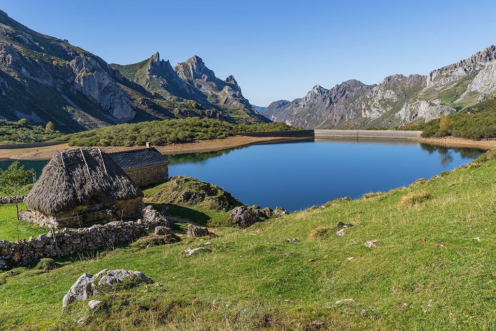 Voyage Sur les traces de l'ours brun des Asturies 2