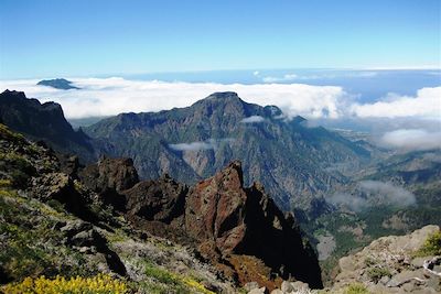 © Flavien Gauchard - Canaries – île de La Palma – Los Molinos de Breñas Garden Canaries – île de La Palma – Los Molinos de Breñas Garden