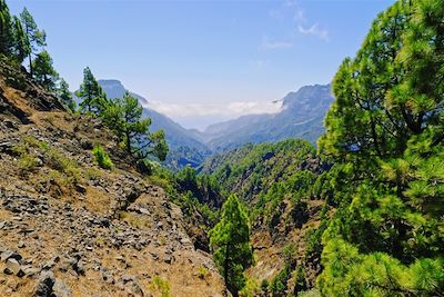 © Karol Kozlowski / iStock - La Caldera de Taburiente - La Palma - Canaries - Espagne La Caldera de Taburiente - La Palma - Canaries - Espagne