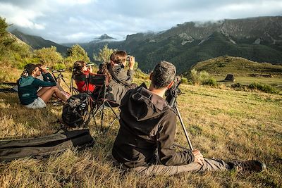 A l'affût de l'ours brun et du loup ibérique