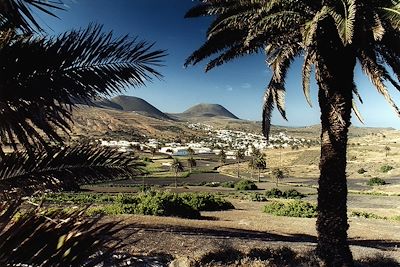 © Joerg MODROW/LAIF-REA - Vallée des 1000 palmiers -Haria - Lanzarote - Iles Canaries - Espagne Vallée des 1000 palmiers -Haria - Lanzarote - Iles Canaries - Espagne