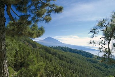 Parc national de Teide - Ténérife - Espagne