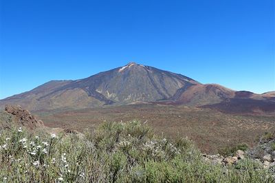 © Marianne Furlani - Parc national du Teide, ascension de la montagne Guajara - Tenerife - Canaries - Espagne Parc national du Teide, ascension de la montagne Guajara - Tenerife - Canaries - Espagne