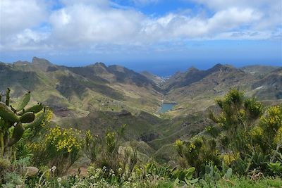 Dans le massif du Teno - Tenerife - Canaries - Espagne