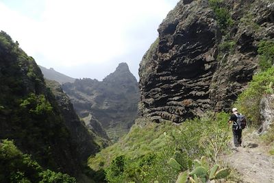 Gorges de Masca - Tenerife - Îles Canaries - Espagne