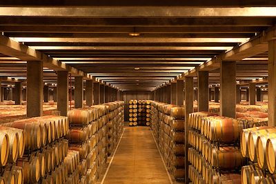 Cave à vin - La Rioja - Espagne