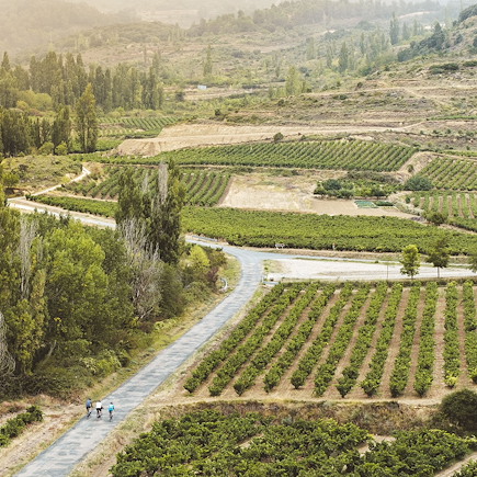 Vélo Espagne