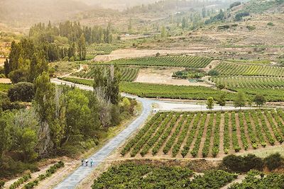 A vélo le long de l'Ebre aux vignobles de La Rioja