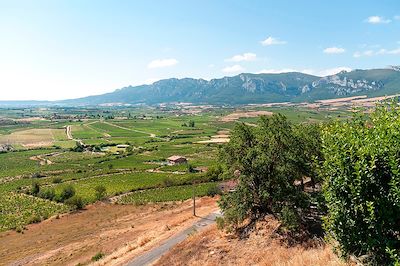 Sierra de Cantabria - Espagne