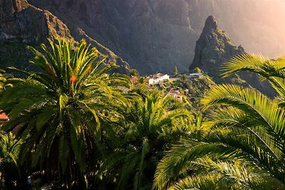 Voyage Les massifs volcaniques de Tenerife 2