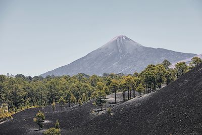 Volcan Teide - Tenerife - Îles Canaries - Espagne