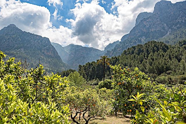 Voyage Vallées, canyons et sommets de Majorque