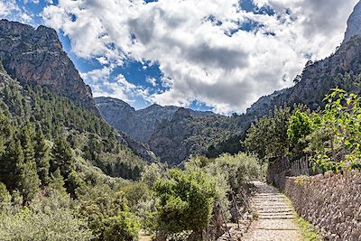 Voyage Vallées, canyons et sommets de Majorque 3
