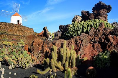 Le jardin de cactus - Lanzarote - Espagne