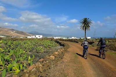 Voyage Lanzarote, entre volcans et océan 3