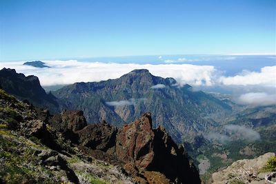 Canaries – île de La Palma – Los Molinos de Breñas Garden