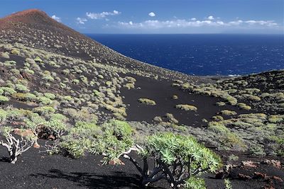 Littoral près de Fuencaliente - La Palma - Canaries - Espagne