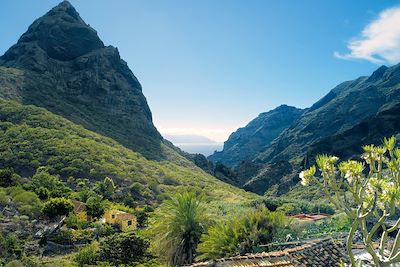 © Office du Tourisme de Tenerife - Tenerife - Canaries Tenerife - Canaries