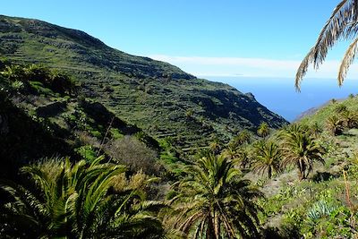 Barranco Valle Gran Rey - La Gomera - Canaries - Espagne