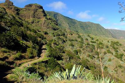 © Thomas Colmaire - El Cedro - La Gomera - Canaries - Espagne El Cedro - La Gomera - Canaries - Espagne