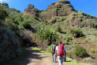 © Cannelle Carrere - La Gomera - Canaries - Espagne La Gomera - Canaries - Espagne