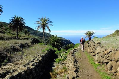 Barranco Valle Gran Rey - La Gomera - Canaries - Espagne