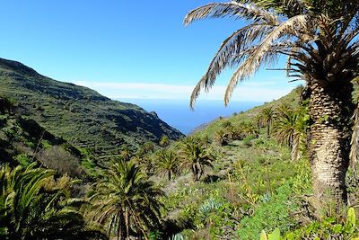 © Thomas Colmaire - Barranco Valle Gran Rey - La Gomera - Canaries - Espagne Barranco Valle Gran Rey - La Gomera - Canaries - Espagne