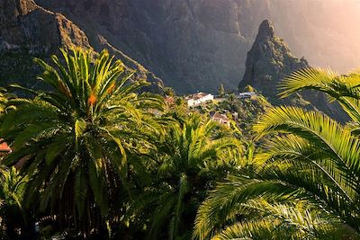 Voyage Tenerife et Gomera, randonnées enchantées 2
