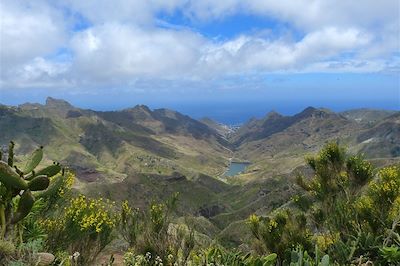Dans le massif du Teno - Tenerife - Canaries - Espagne