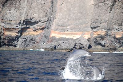 Excursion en mer - Tenerife - Iles Canaries