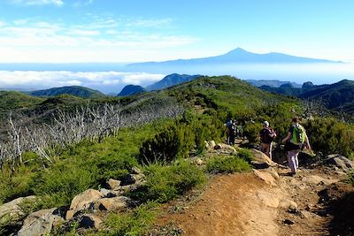 © Thomas Colmaire - Garajonay - La Gomera - Canaries - Espagne Garajonay - La Gomera - Canaries - Espagne