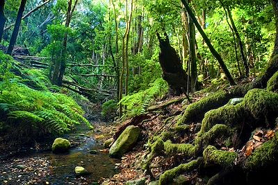 Voyage Tenerife et La Gomera, entre volcans et océan 2