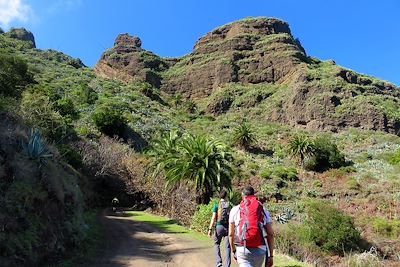 Voyage Tenerife et La Gomera, entre volcans et océan 3