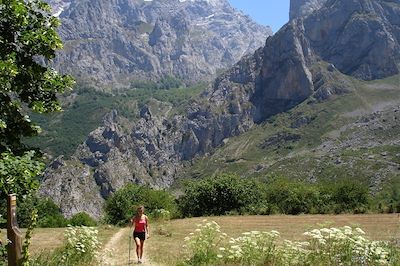 Picos de Europa - Pyrénées - Espagne 