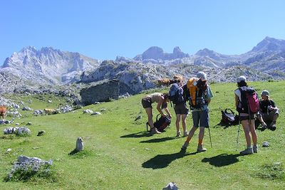 Randonnée dans les alpages de Bulnes - Picos de Europa - Pyrénées - Espagne