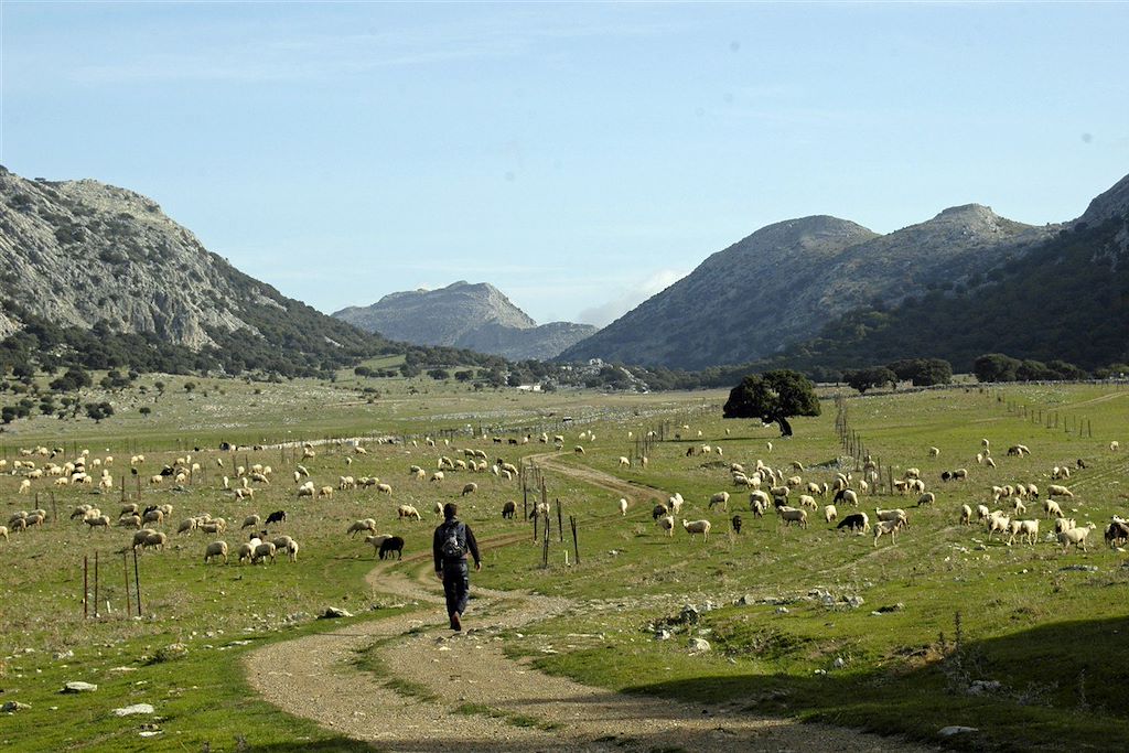 Image Randonnée Andalousie – Sierra de Grazalema – Trek Andalousie