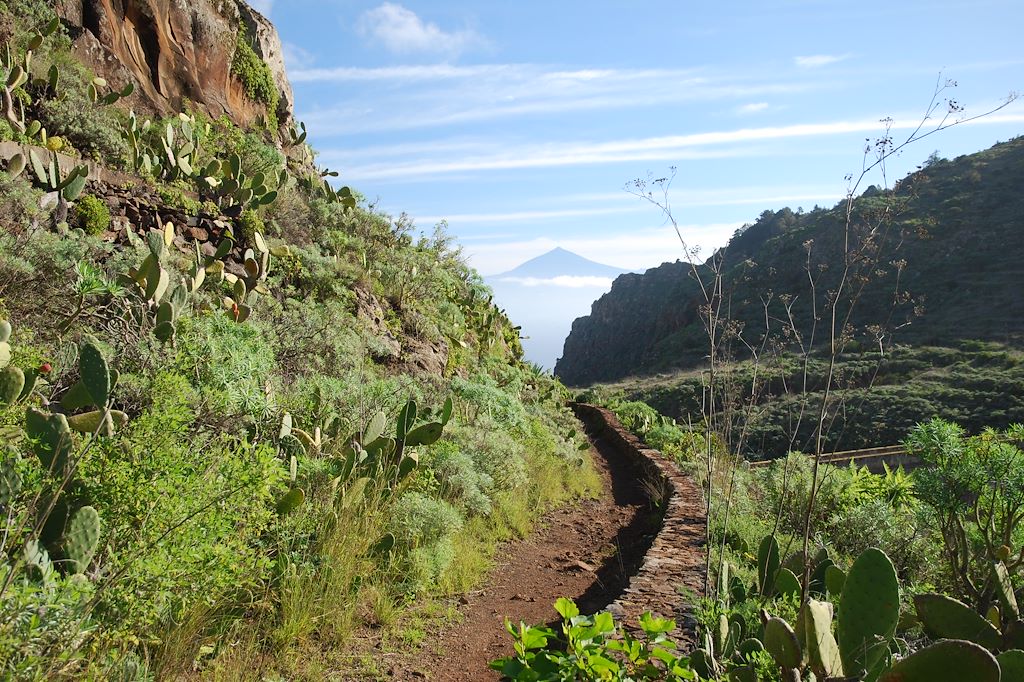 Image Randonnée La Gomera – Randonnée Canaries – Garajonay